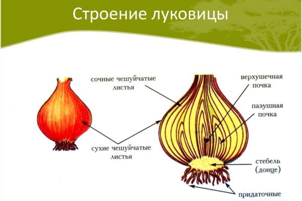 Восстановить доступ к кракену